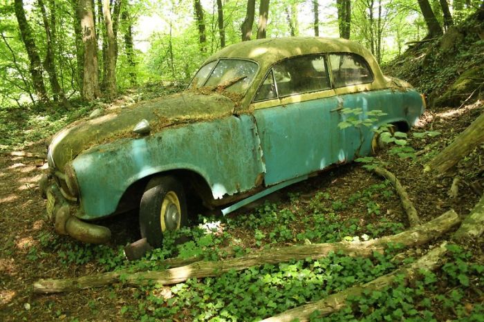 I Found An Amazing Vintage Cars Museum With Exhibits Overtaken By Nature I Found An Amazing Vintage Cars Museum With Exhibits Overtaken By Nature