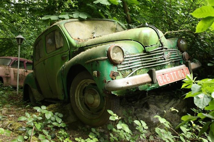 I Found An Amazing Vintage Cars Museum With Exhibits Overtaken By Nature I Found An Amazing Vintage Cars Museum With Exhibits Overtaken By Nature
