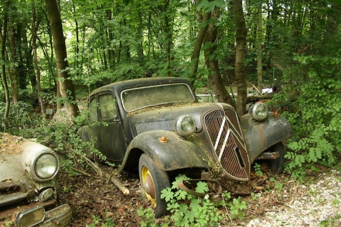 I Found An Amazing Vintage Cars Museum With Exhibits Overtaken By Nature I Found An Amazing Vintage Cars Museum With Exhibits Overtaken By Nature
