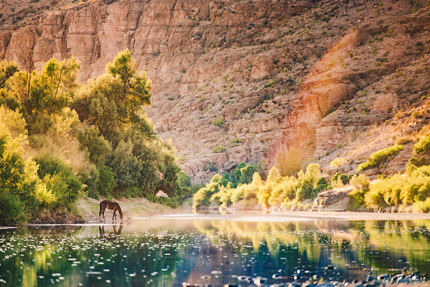 I Sold Everything, Bought An Airstream And Travel America With My Family Indefinitely