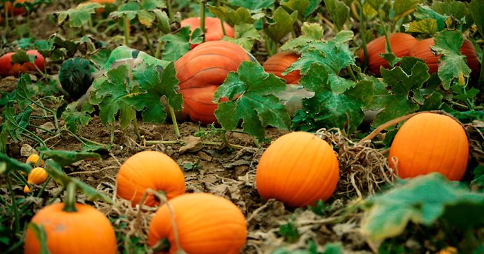 Can You Find The Artist In These Pictures? (40 Pics)