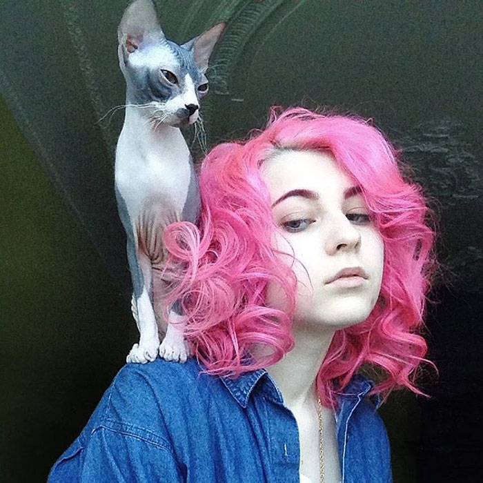 cat-hairstyle-shaved-back-head-katichka--2