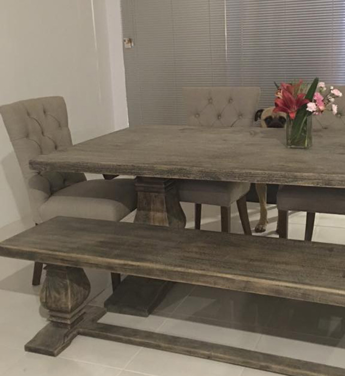 creepy-dog-stalks-owner-cyrus-bullmastiff-lauren-birney-1 creepy-dog-stalks-owner-cyrus-bullmastiff-lauren-birney-1