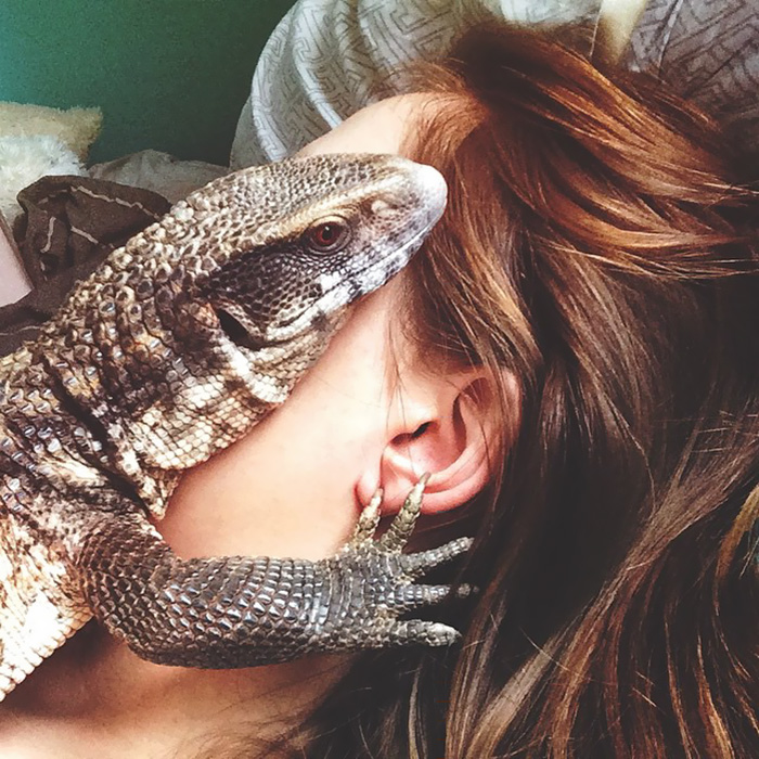 cute-lizard-pet-cuddles-savannah-monitor-astya-lemur-4
