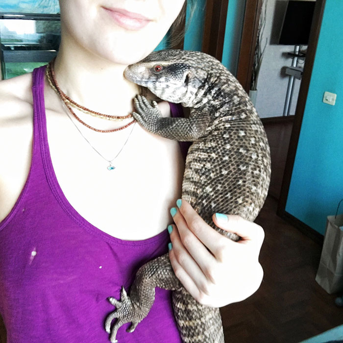 cute-lizard-pet-cuddles-savannah-monitor-astya-lemur-47