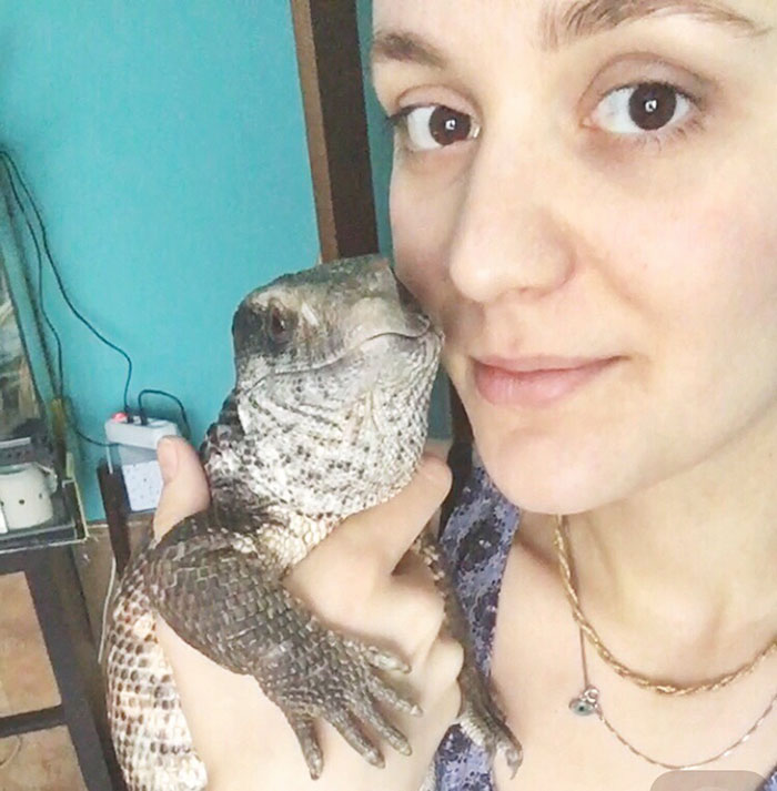 cute-lizard-pet-cuddles-savannah-monitor-astya-lemur-49