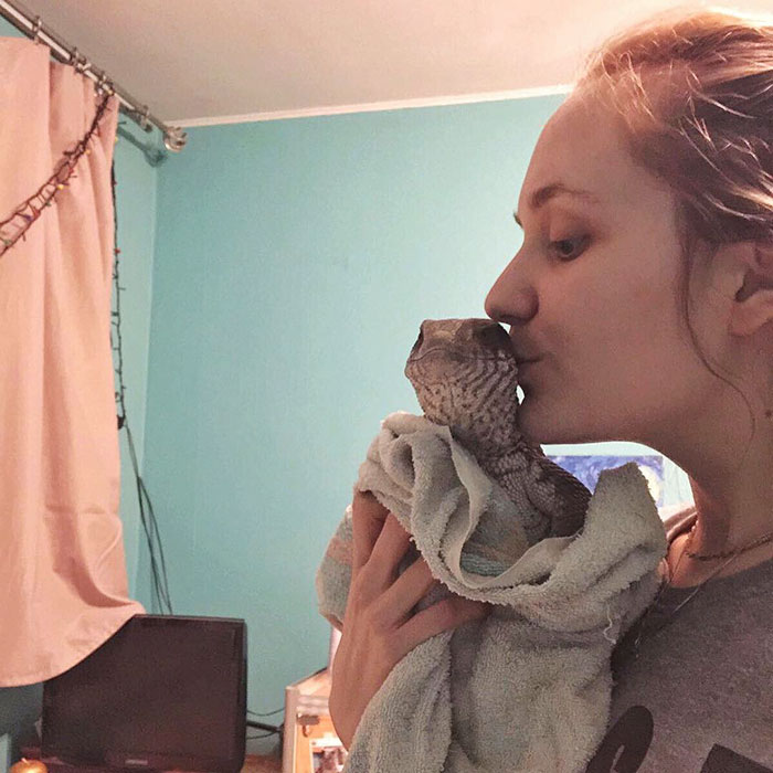 cute-lizard-pet-cuddles-savannah-monitor-astya-lemur-5