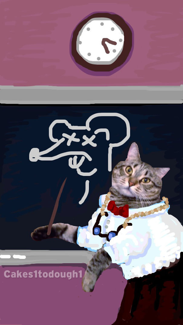 Snapchat + Cats = Snapcats