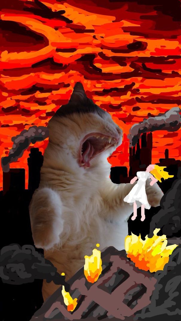 Snapchat + Cats = Snapcats