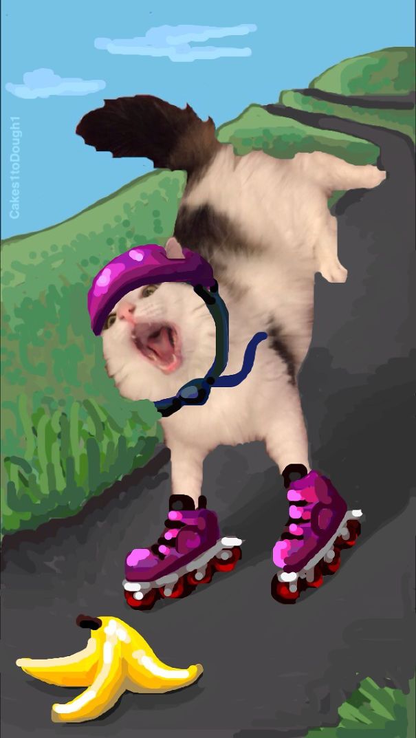 Snapchat + Cats = Snapcats