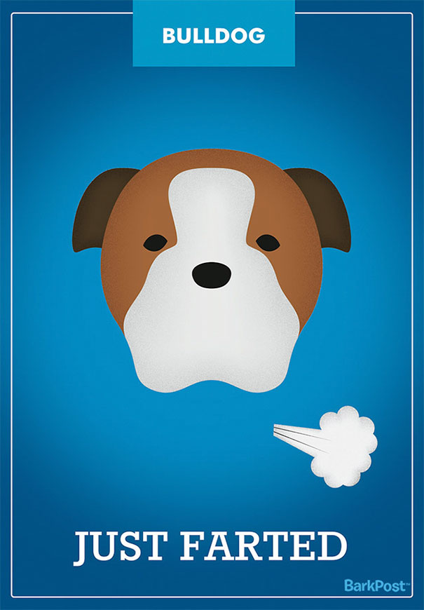 Dog Breed Illustrations