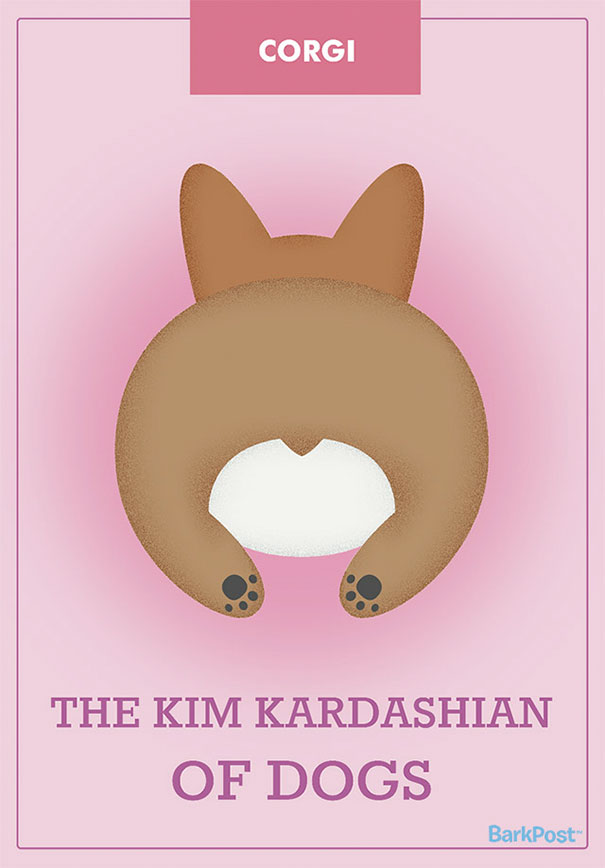 Dog Breed Illustrations