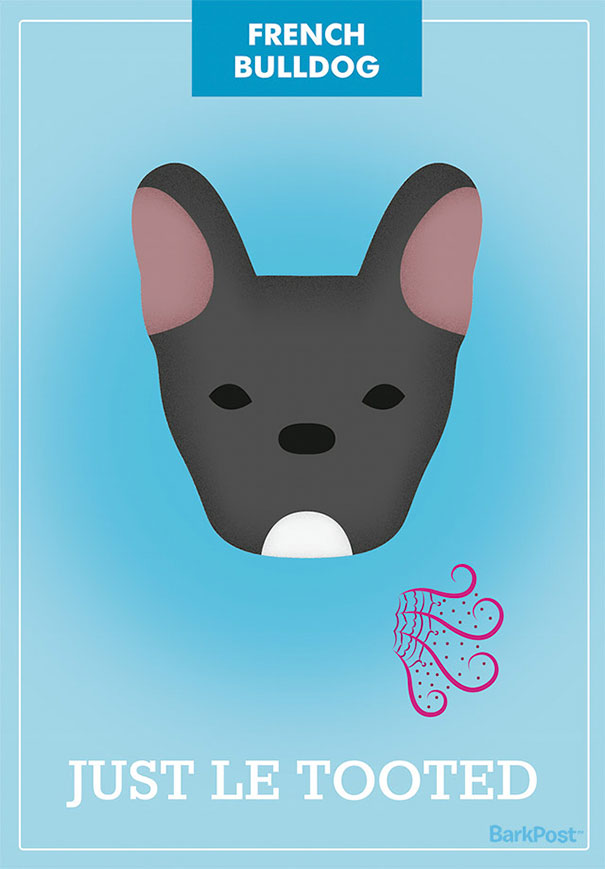 Dog Breed Illustrations