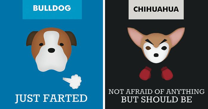 12 Honest Dog Breed Slogans That Make Fun Of Stereotypes