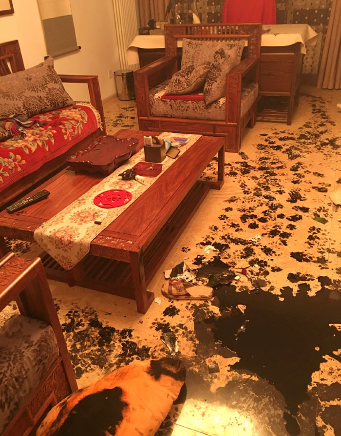 dog-makes-mess-ink-10