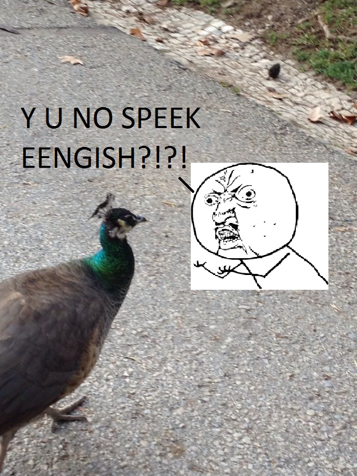 #28 If I Speak Loudly, Surely It Will Understand Me.