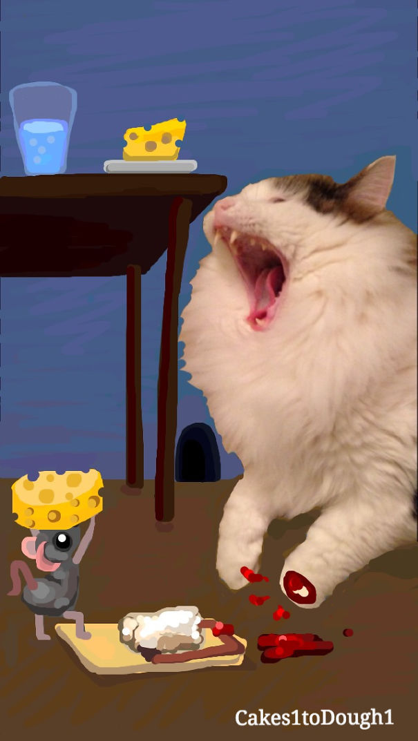 Snapchat + Cats = Snapcats