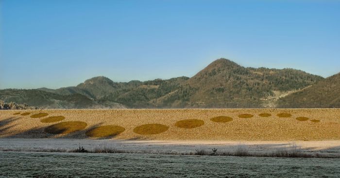 I Wake Up Early In The Morning To Create Frost Art