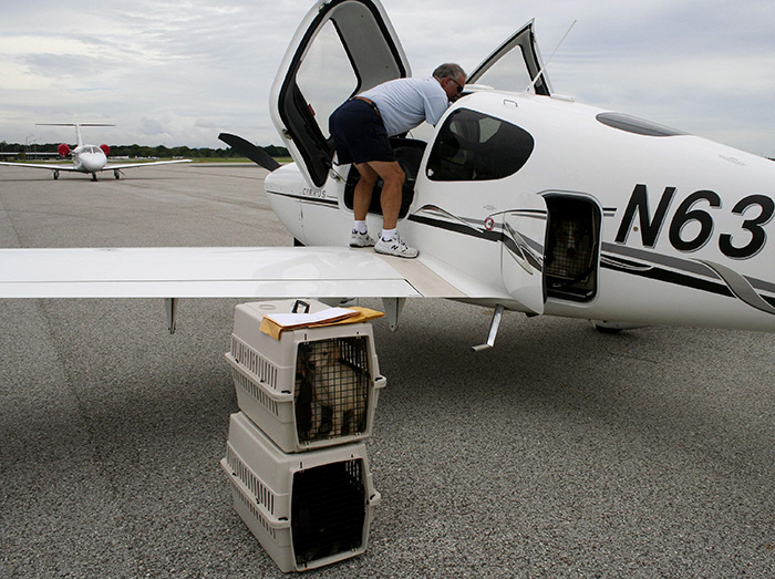 flying-animals-plane-jeff-bennett-pilots-n-paws-12 flying-animals-plane-jeff-bennett-pilots-n-paws-12