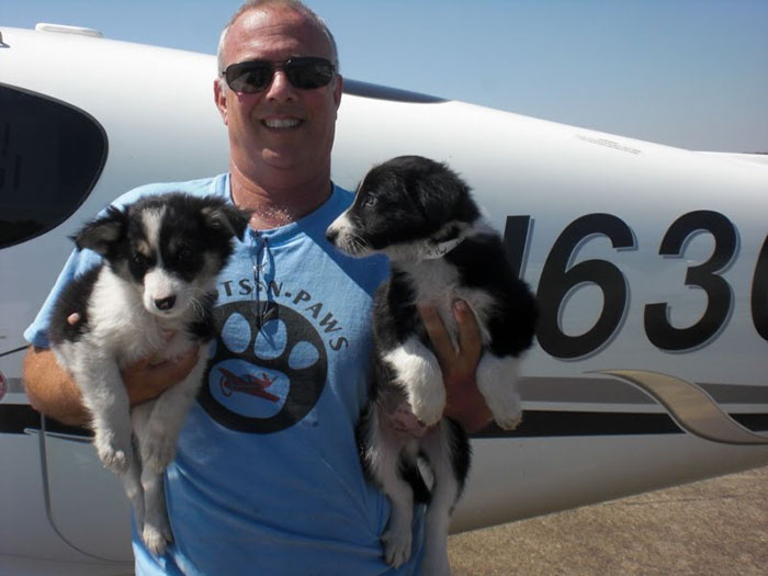 flying-animals-plane-jeff-bennett-pilots-n-paws-14 flying-animals-plane-jeff-bennett-pilots-n-paws-14