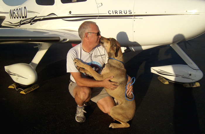 flying-animals-plane-jeff-bennett-pilots-n-paws-15