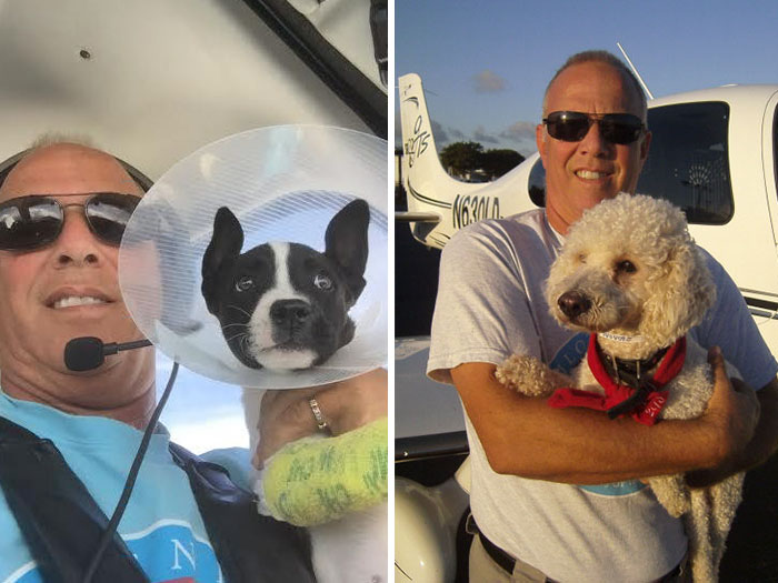 flying-animals-plane-jeff-bennett-pilots-n-paws-25 flying-animals-plane-jeff-bennett-pilots-n-paws-25