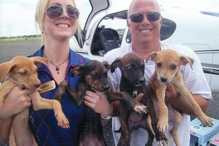 flying-animals-plane-jeff-bennett-pilots-n-paws-9