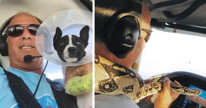 Man Flies 5,000 Homeless Animals To Save Them From Death
