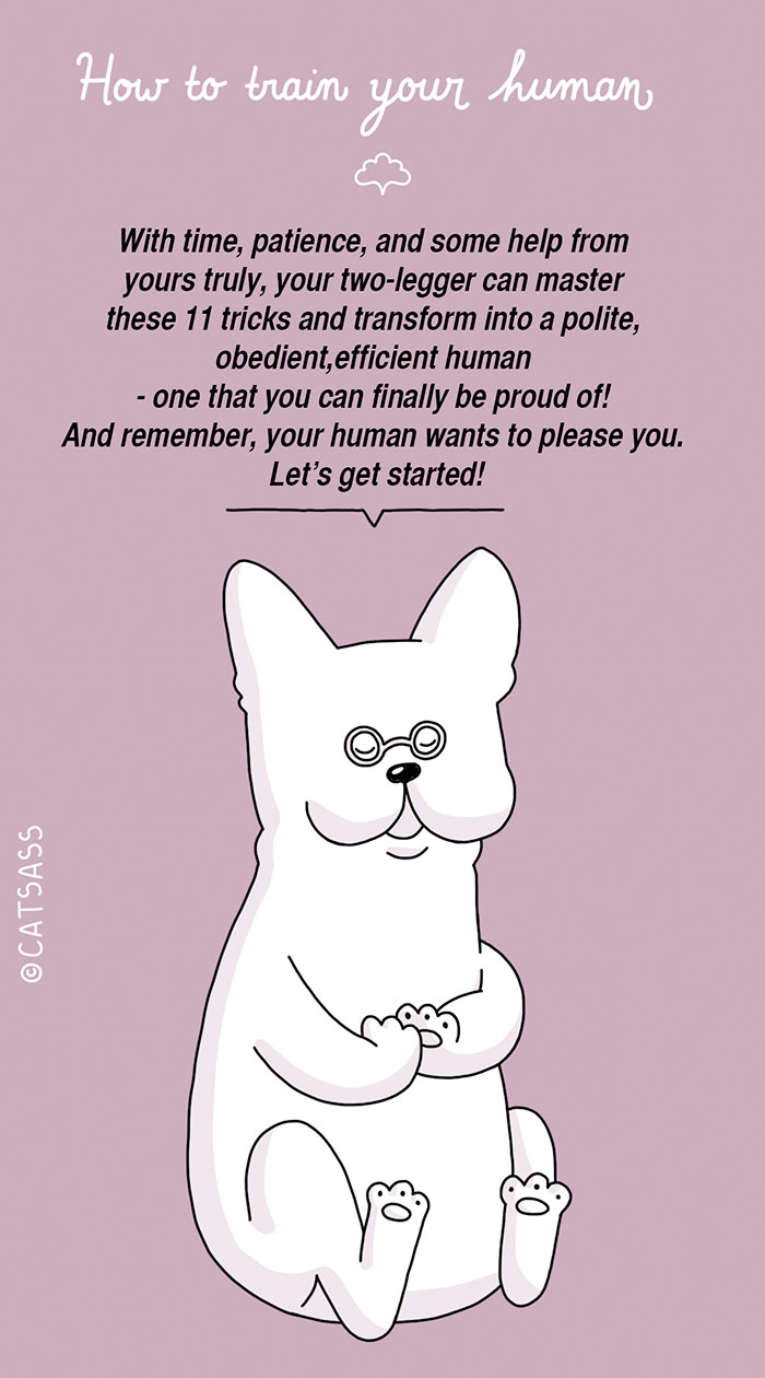 funny-dog-illustrations-how-to-train-your-human-catsass-1