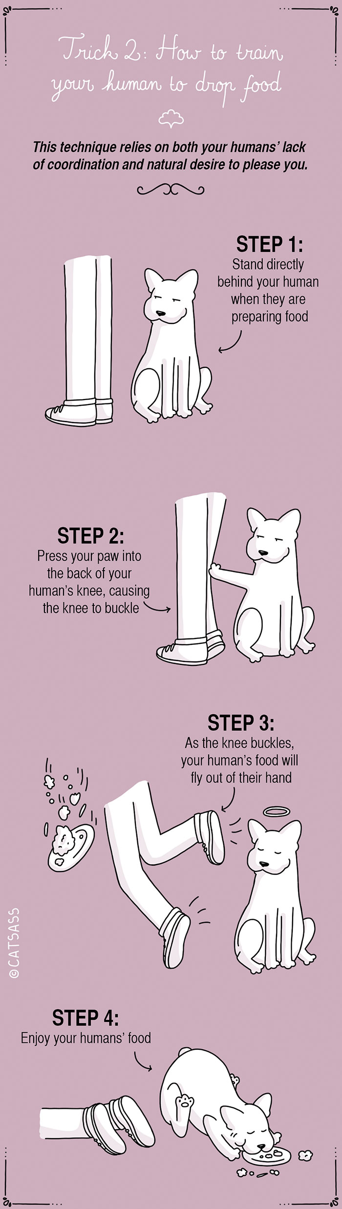 funny-dog-illustrations-how-to-train-your-human-catsass-3
