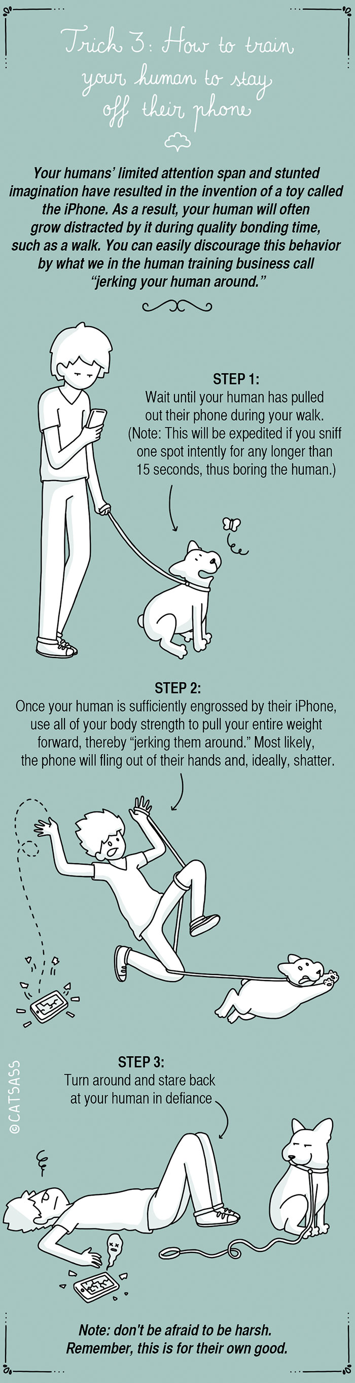 funny-dog-illustrations-how-to-train-your-human-catsass-4