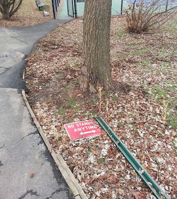 The Sign Gets It