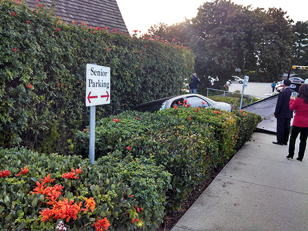 Taking A Sign Too Literally