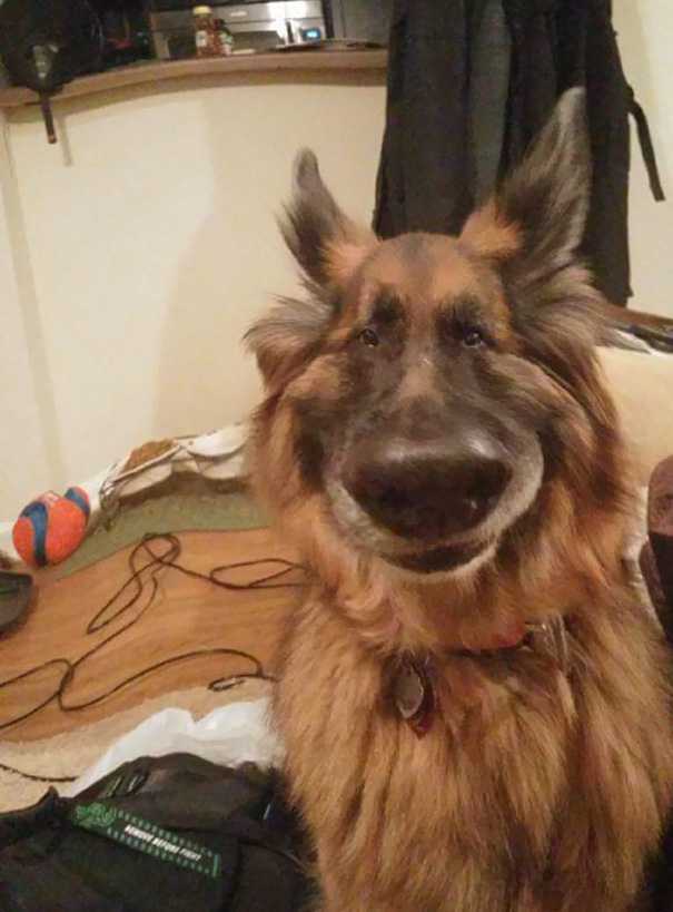 Snapchat Effects Are Great