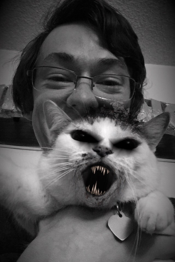 I Tried The New Snapchat Filters With My Cat