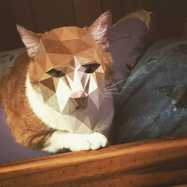 Here's The Snapchat Cat