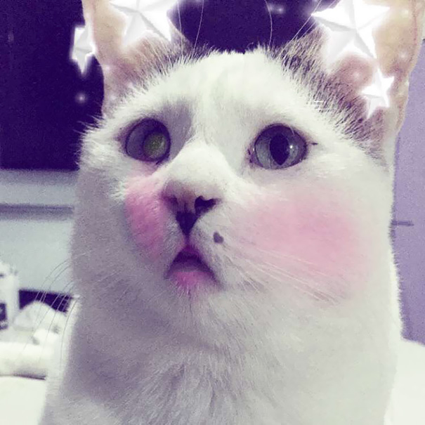 George, You're So Pretty!