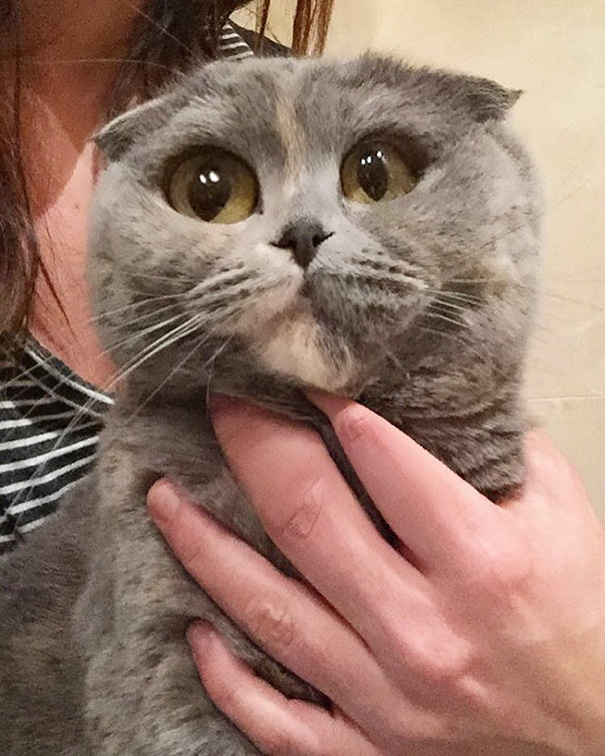 No, I Haven't Used Any Drugs, I Swear!