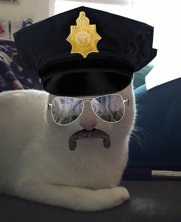 Can't Get Over How Great This Photo Is