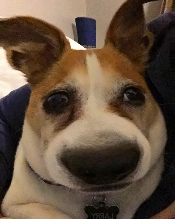 When You Ate Too Much