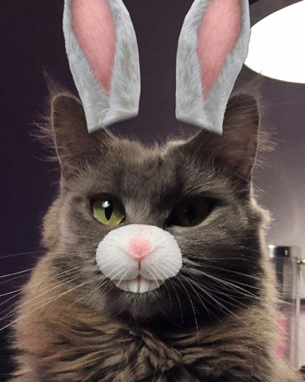 You Call This Friday Night Fun? I Call This Torture!