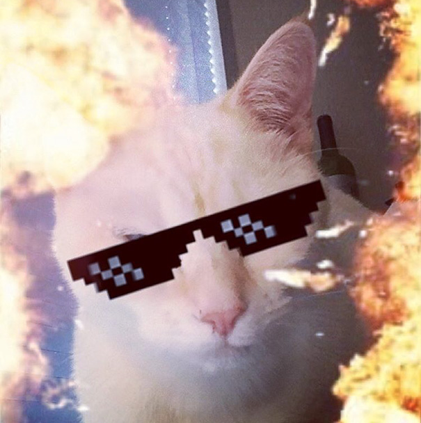 I Got The Best Picture Of Snowflake Today