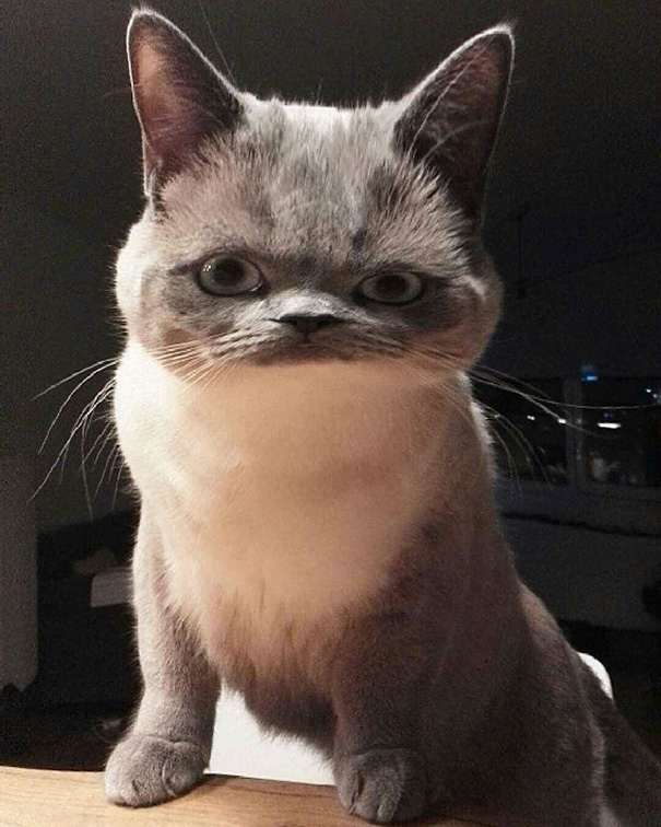 My Humom Was Laughing But I Was Confused