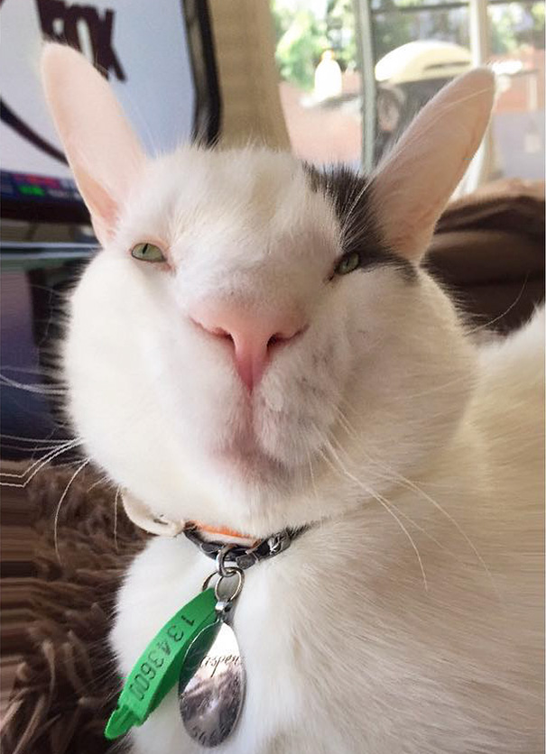 Snapchat On Animals Get Me Every Time