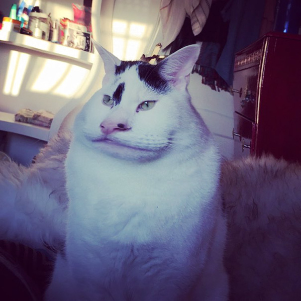 When I Let Pepino Play With Snapchat