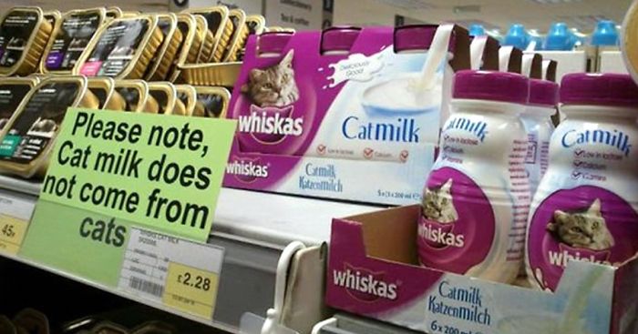 75 Signs That Humanity Is Devolving