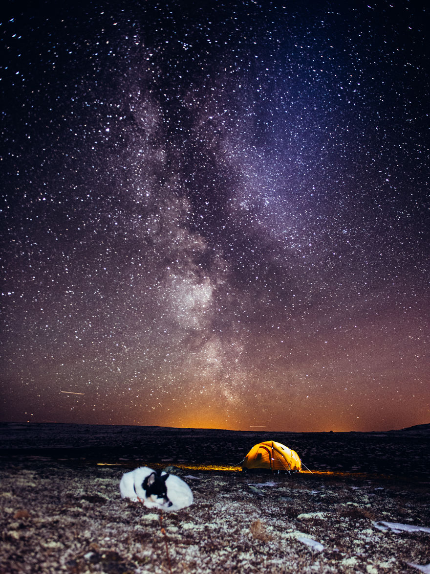 I Quit My Job To Go On Adventures With My Husky (Part 2)