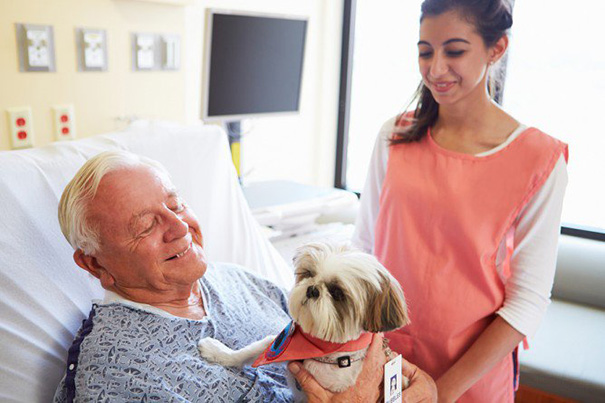 hospital-pets-allowed-animal-therapy-zacharys-paws-for-healing-juravinski-10 hospital-pets-allowed-animal-therapy-zacharys-paws-for-healing-juravinski-10