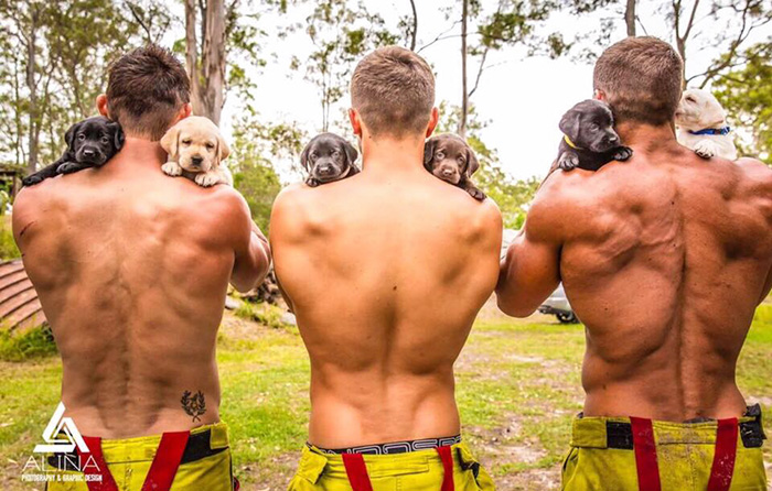 hot-firefighters-with-puppies-calendar-charity-australia-11 hot-firefighters-with-puppies-calendar-charity-australia-11