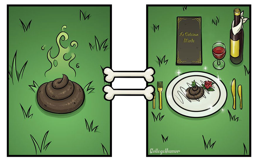 How Dogs See The World Differently